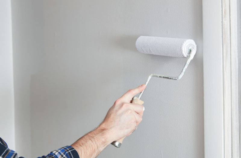 Eekay Home Decorative Paint